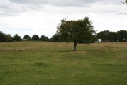 Amberley Cross Bank - PID:80174