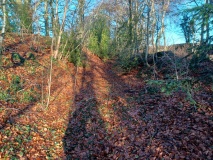 Bagendon - PID:252715