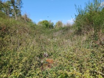 Brackenbury Ditches