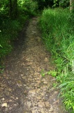 High Brotheridge