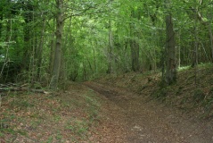 High Brotheridge