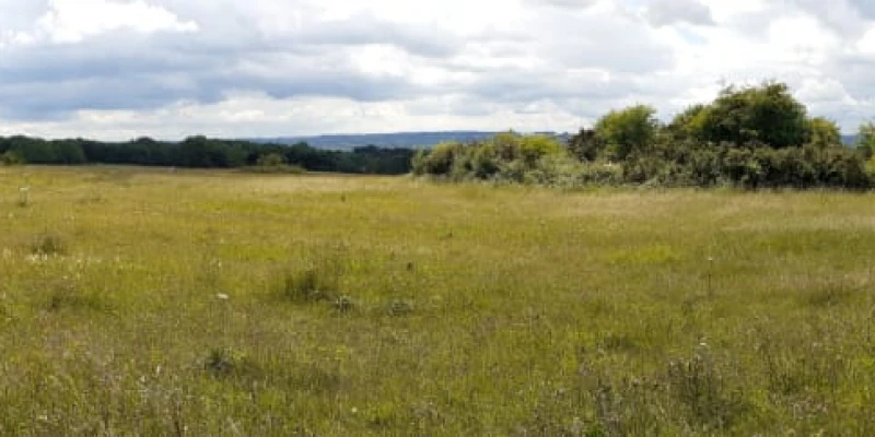 Adlestrop Hill