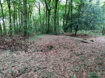 Randwick Barrows