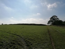 Beckbury Camp