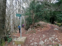 Offa's Dyke at Tidenham Chase