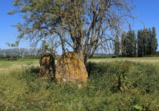 Wick Burial Chamber (Gloucestershire)