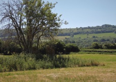 Wick Burial Chamber (Gloucestershire)