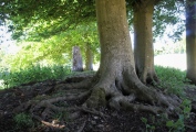 The Tingle Stone