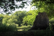 The Tingle Stone
