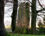 The Tingle Stone