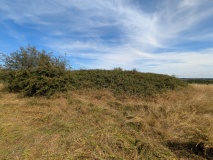 Stoke Park Long Barrow