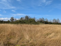 Stoke Park Long Barrow