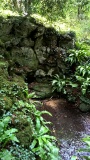 St Edwards well
