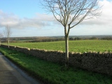 Woodbarrow (Glos) - PID:26030