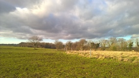 Wellhill Copse Barrow