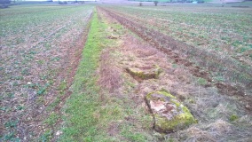 Roel Farm Bowl Barrow
