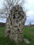 Long Stone (Minchinhampton) - PID:136306