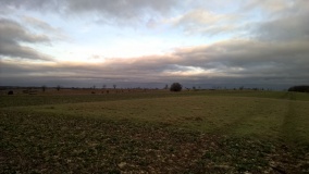 Roel Farm Bowl Barrow