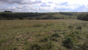 Shawswell Farm Long Barrow