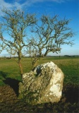 Hoar Stone at Duntisbourne