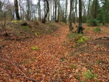 Symonds Yat Fort