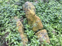 The Giant's Stone (Gloucestershire)