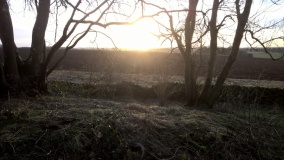 Lamborough Banks