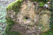 Kiftsgate Stone - PID:104677