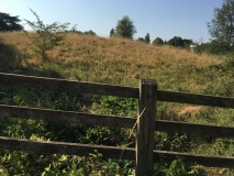 Querns Barrow
