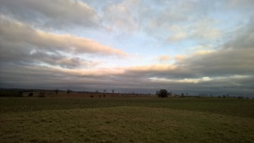 Roel Farm Bowl Barrow