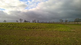 Greenfield Hill Barn Round Barrow