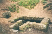 St Anthony's Well (Cinderford) submitted by HOLYWELL