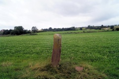Littledean Standing Stone