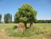 Wick Burial Chamber (Gloucestershire)