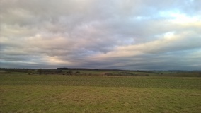 Roel Farm Bowl Barrow