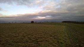 Roel Farm Bowl Barrow