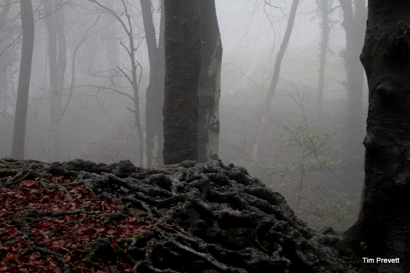 Randwick Long Barrow