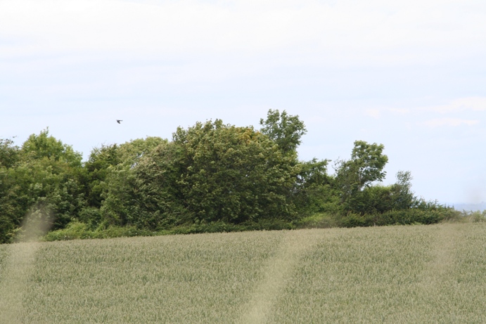 Bown Hill Bowl Barrow