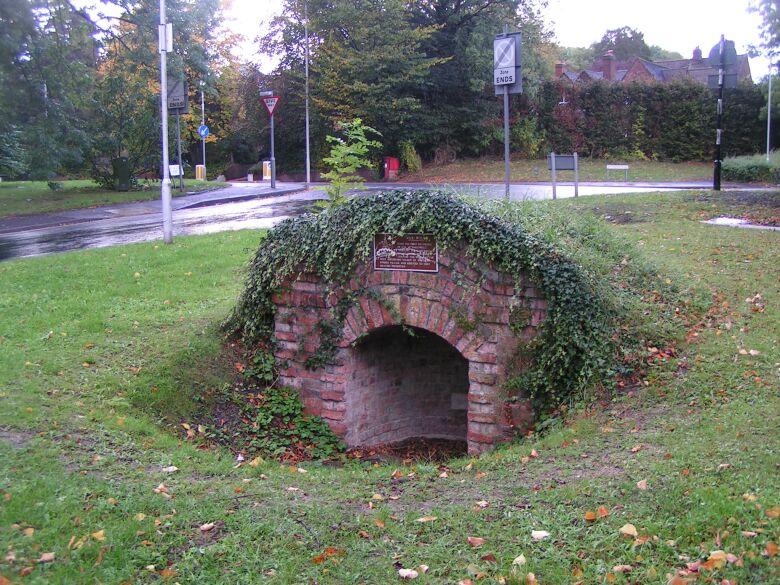 Waxwell (PID:9506) Waxwell