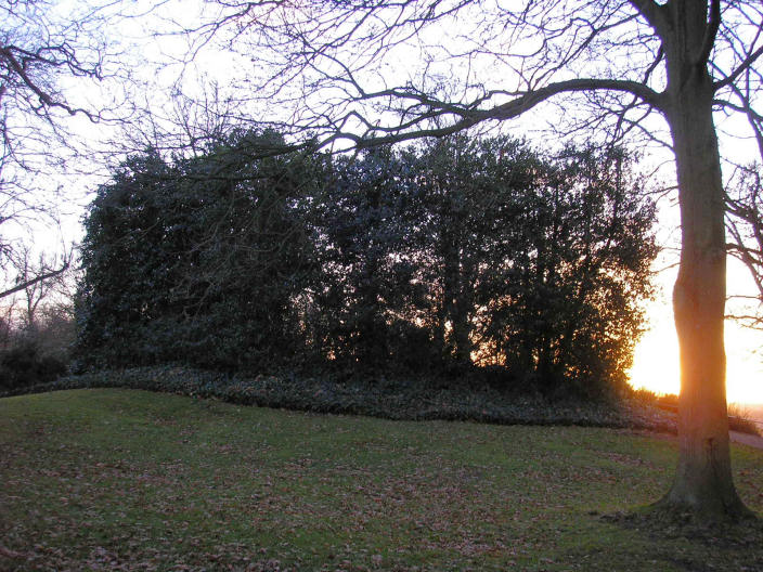 King Henry's Mound