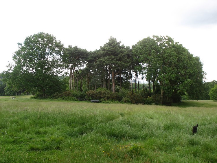 Hampstead Heath Barrow