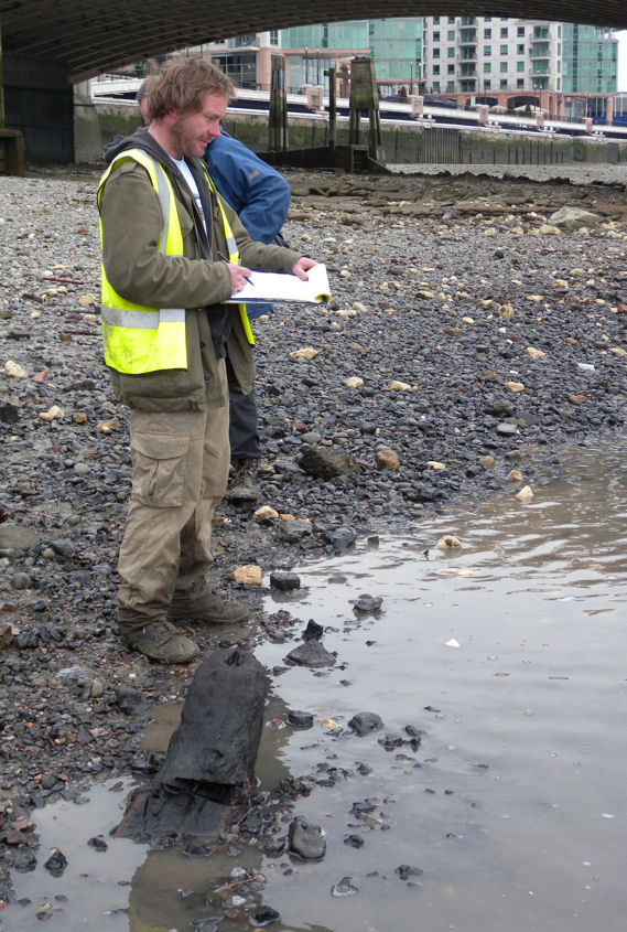 Mesolithic structure near Vauxhall bridge Archaeologists survey the timbers
Image provided by the excavation team