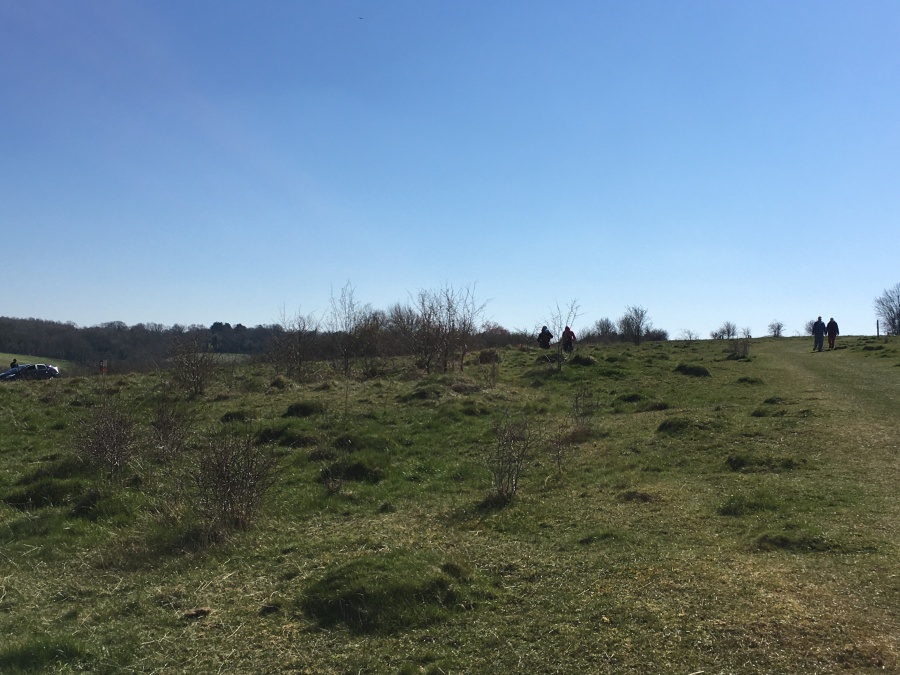 Click for full size image of Farthing Downs (PID:209705) Farthing Downs