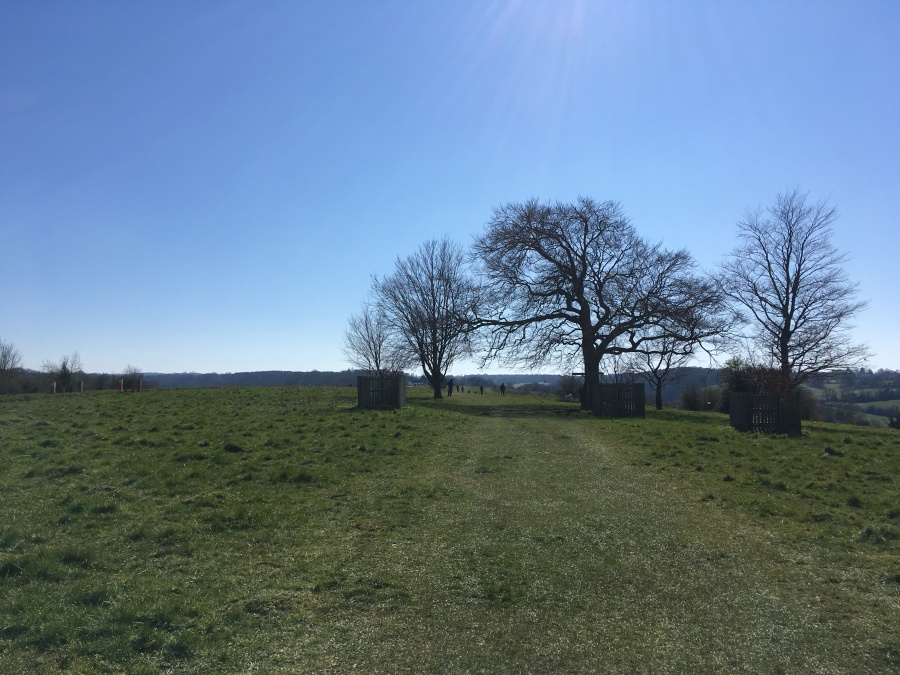 Click for full size image of Farthing Downs (PID:209703) Farthing Downs