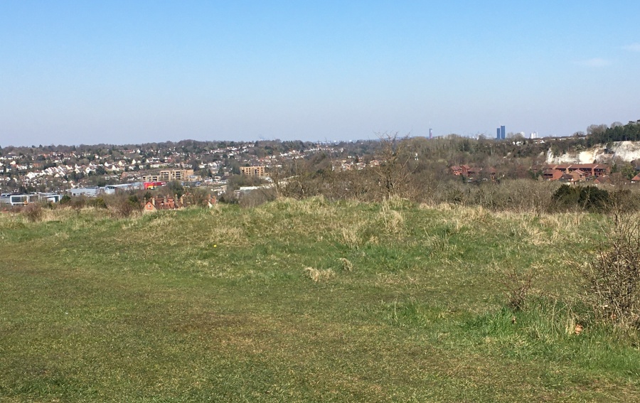 Click for full size image of Farthing Downs (PID:209704) Farthing Downs