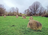 Hilly Fields Stone Circle - PID:270537