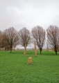 Hilly Fields Stone Circle - PID:270538