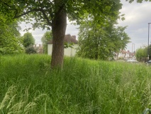 Shrewsbury Tumulus