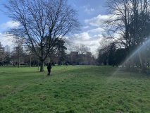 Finsbury Park earthworks