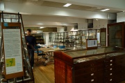 Petrie Museum of Egyptian Archaeology